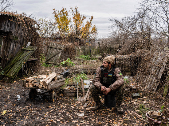 Потери украинской армии с начала специальной военной операции были озвучены иностранными специалистами