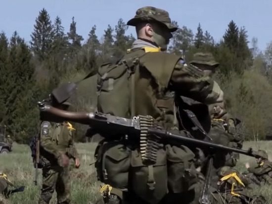 Австрийский полковник рассказал о воюющих на Украине солдатах НАТО
