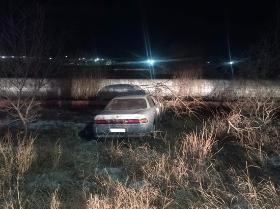 Пьяный водитель Toyota Mark II слетел с дороги и врезался в трубы в Чите