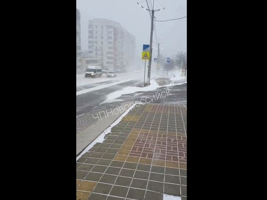 Ветер повредил 13 кровель, повалил 25 деревьев в Новороссийске