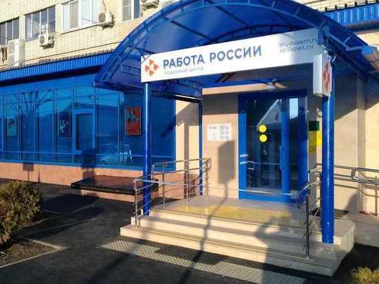 Краснодарский центр занятости с начала 2023 года помог найти работу 795 горожанам