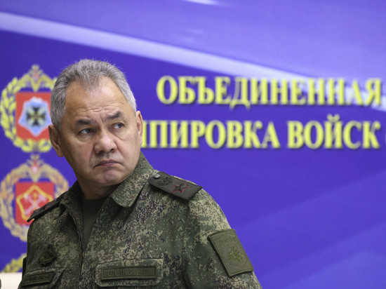 Шойгу сообщил об освобождении семи населенных пунктов на Донецком и Запорожском направлениях
