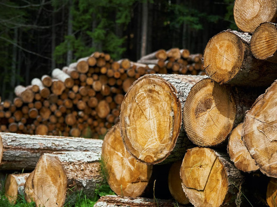 Из Удмуртии в Казахстан за начало года отправили больше тысячи кубометров лесоматериалов