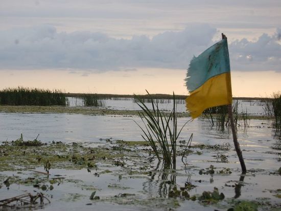 The New York Times: прифронтовые морги ВСУ в Донбассе переполнены