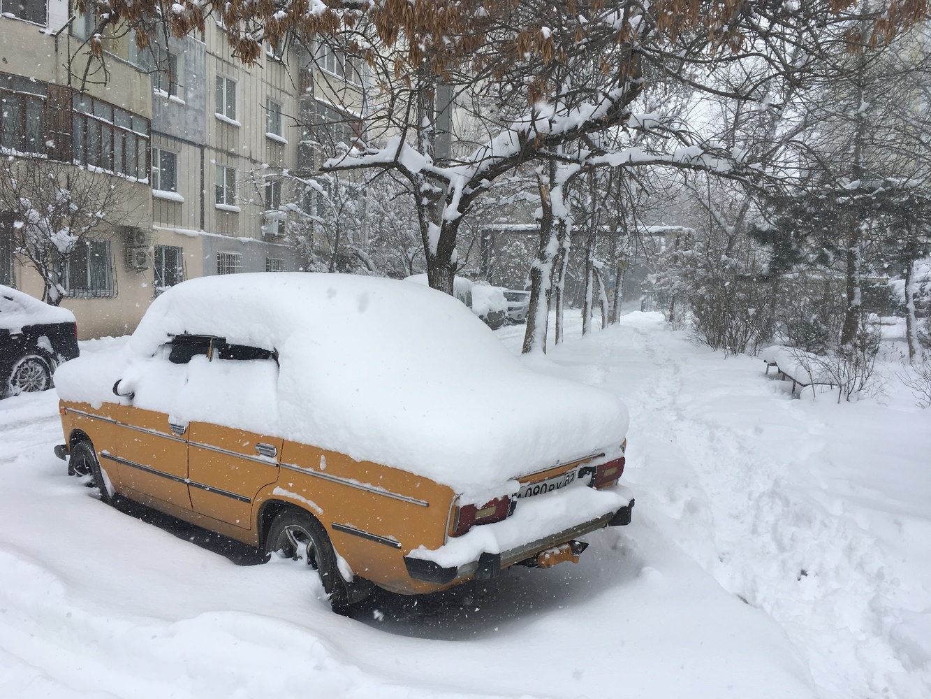 Крым завалило снегом: этой зимой такое случилось впервые 