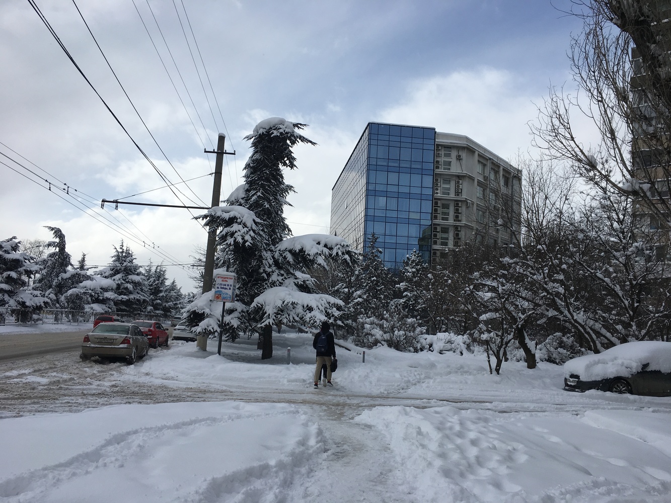 Крым завалило снегом: этой зимой такое случилось впервые 