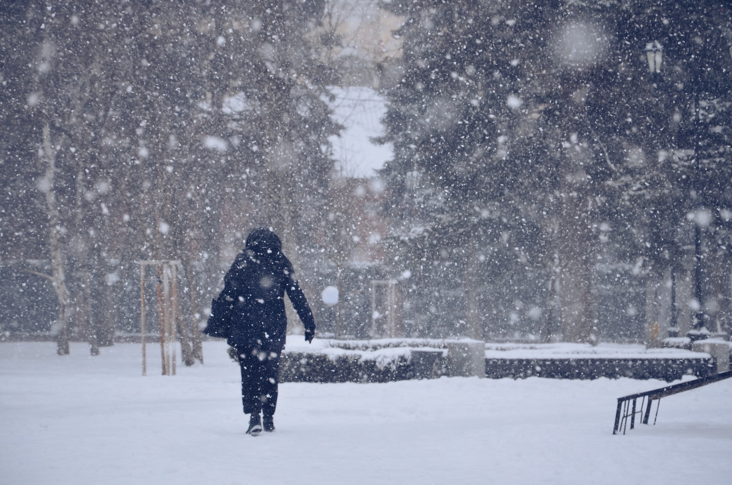 Сугробы на тротуарах, засыпанные машины и снежная сказка: в Краснодаре впервые в 2023 году выпал снег 