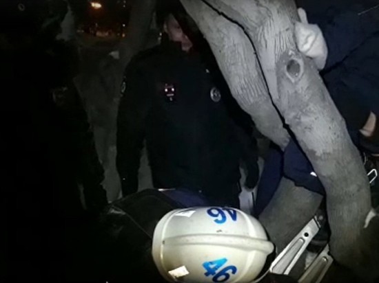 В Новосибирске спасатели освободили застрявшего на дереве ребёнка
