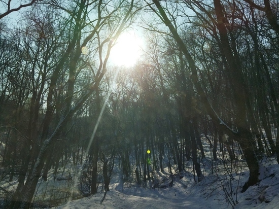 В среду, 8 февраля, в Саратовской области будет солнечно