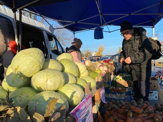 Крымские аграрии заявили о готовности доставлять местные продукты в школы и детсады