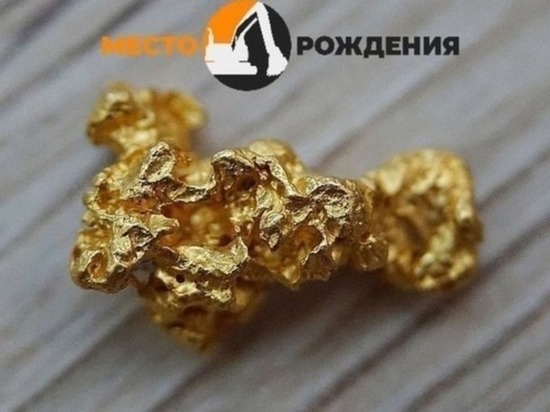 В Вершино-Дарасунском задержали мужчину, который намыл золото на 2 млн рублей