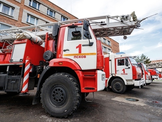 Почти сотня пожаров произошла в Псковской области за январь