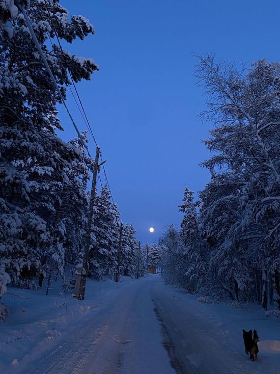 Прогноз погоды в Якутии на 9 февраля