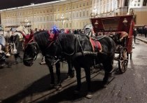 В среду, 1 февраля, петербургские СМИ сообщили о том, что с Дворцовой площади пропали повозки, запряженные лошадьми