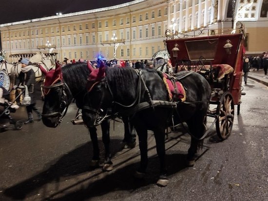 Смешались в кучу кони, люди: почему скакунам не место в центре Петербурга