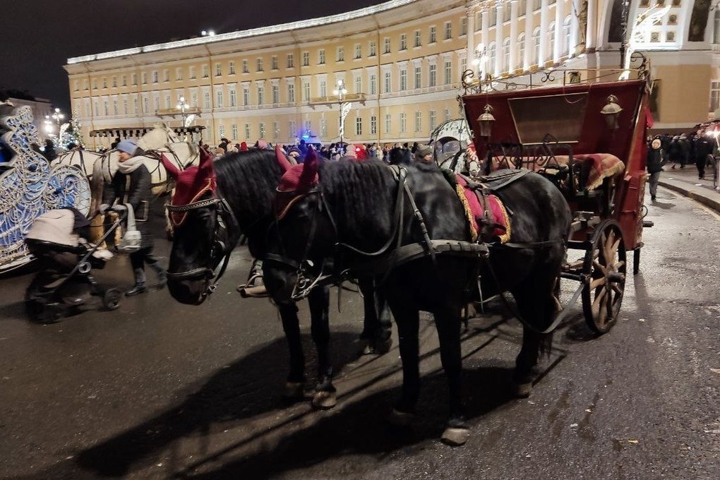 Дворцовая площадь в Санкт Петербурге кони