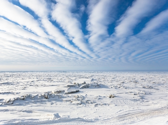 Эксперты ПОРА обсудили будущее Арктики в период геополитических перемен