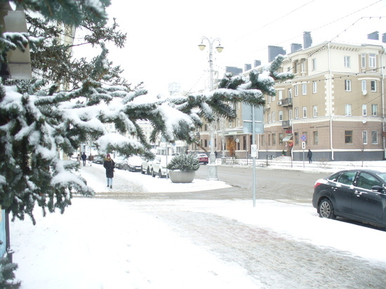 В Белгородской области в четверг сохранится морозная погода