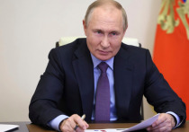 Президент Российской Федерации Владимир Путин обладает иммунитетом как глава государства, поэтому он не может подвергнуться судебному преследованию по делу MH17, заявила прокуратура Нидерландов