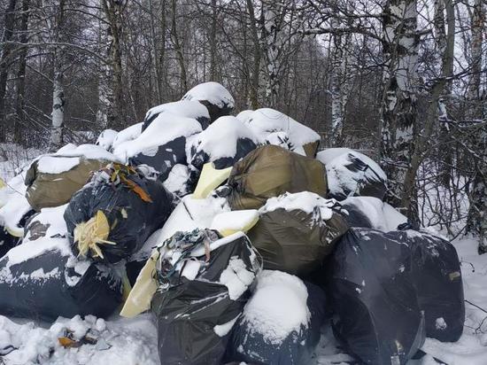 Мебельное производство устроило свалку в Пензенской области