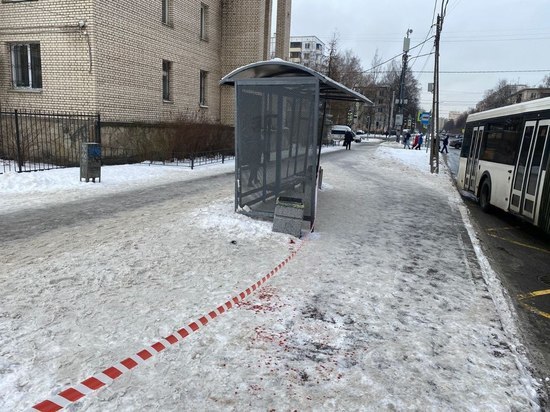 Подозреваемого в резне на остановке в Петербурге отправили в психбольницу