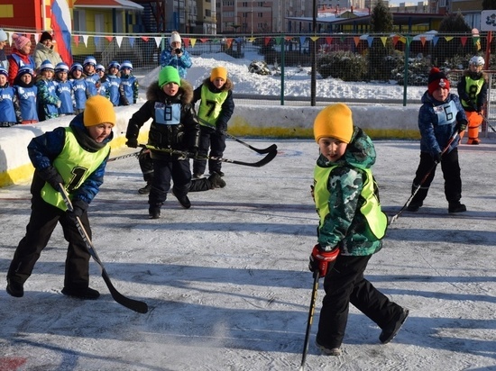 Воспитанники 28 детских садов Тамбова разыграют на хоккейном турнире «Кубок Дружбы»