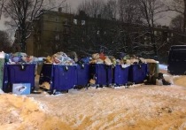 Прокурорская проверка обнаружила, что с 27 декабря 2022 года по 9 января 2023 года ООО «Экосити» прекратила вывоз коммунальных отходов около одного из домов по ул