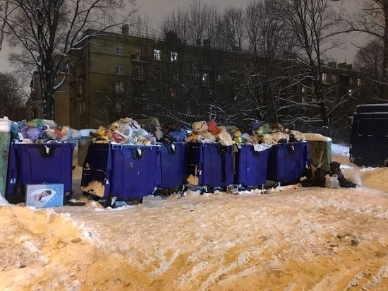В Великом Новгороде прокуратура вмешалась в ситуацию с нарушениями при вывозе мусора