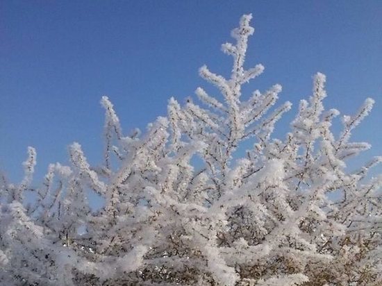 В четверг в Воронежской области будет ночью до 22 градусов мороза, а утром туман