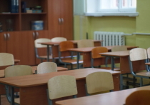 У новгородских девятиклассников 8 февраля прошло устное собеседование по русскому языку