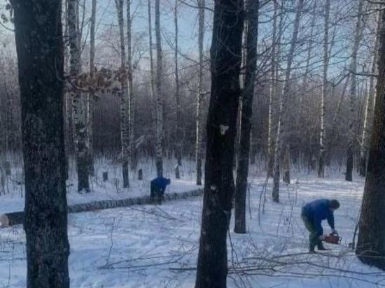 В Уварове благоустраивают парк Сахарного завода