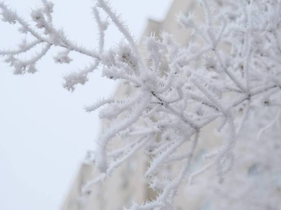 9 февраля в Волгоградской области ожидаются 19-градусные морозы