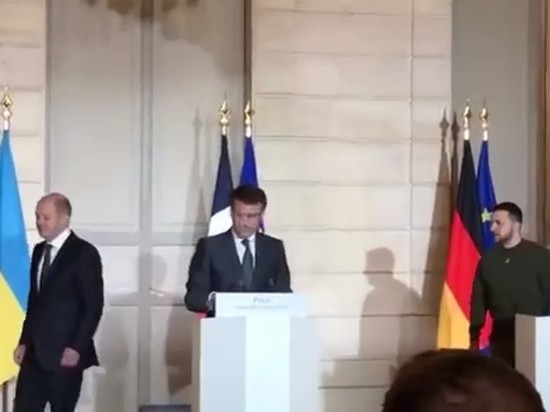 Зеленский и Шольц перепутали свои места в начале совместной пресс-конференции в Париже