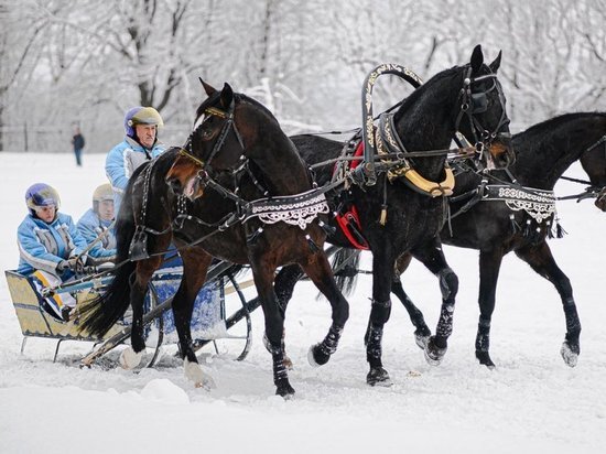 Наездник-костромич победил во втором этапе Чемпионата русских троек