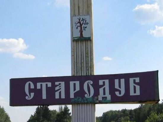 9 БПЛА пытались атаковать территорию Стародубского округа Брянской области