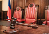 Как сообщили в пресс-службе Центрального районного суда, после ряда переносов заседание по уголовному делу Мамонтова и Терентьева пройдет 15 февраля