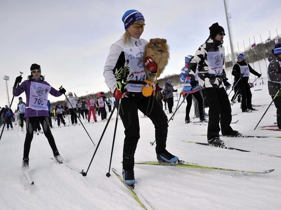 Камчатцев ждут на гонке «Лыжня России — 2023»