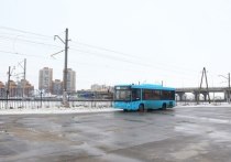 На Витебском проспекте открыли новую автобусную площадку, которая должна разгрузить автобусную станцию на Звездной. Об этом сообщили в пресс-службе комитета по транспорту.