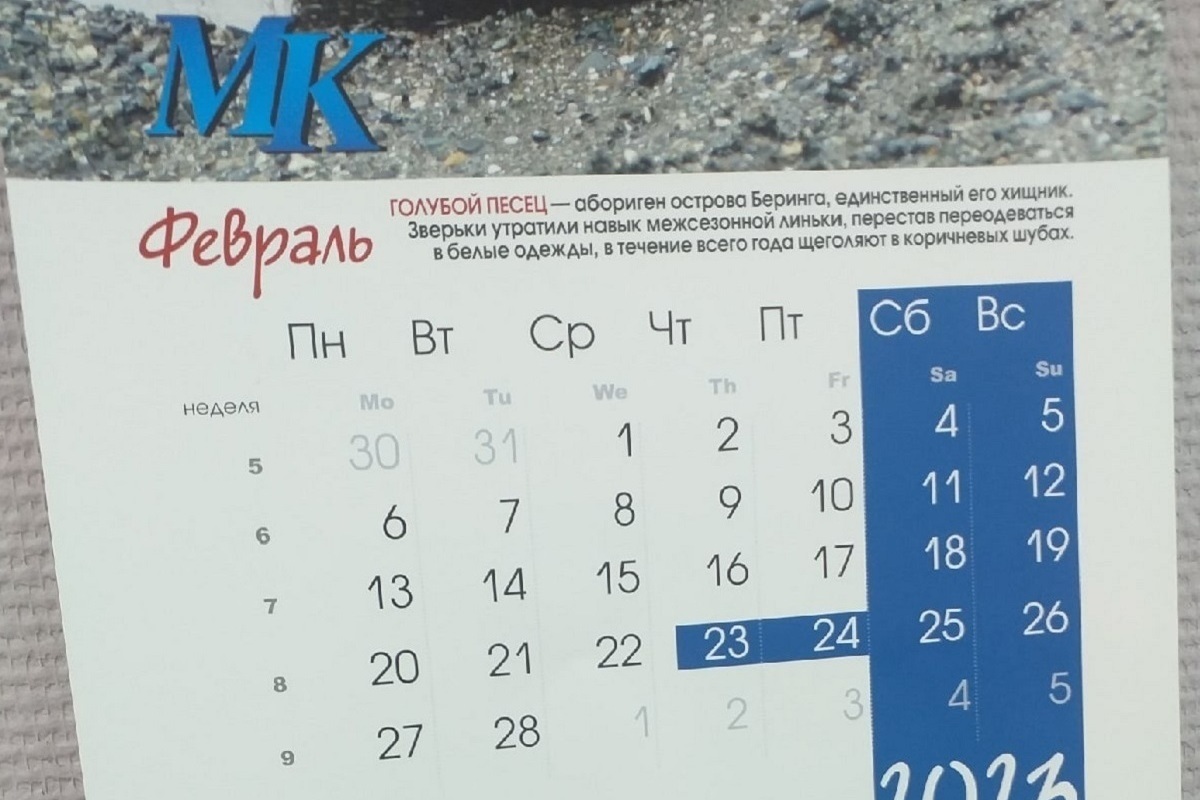 Почему 23 выходной. Выходные в феврале. 23 Февраля выходной. Выходные в феврале в России. Длинные выходные в феврале.