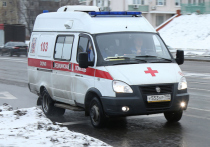 Стали известны подробности трагической гибели 13-летней девочки под колёсами электрички в посёлке Правдинский Пушкинского городского округа
