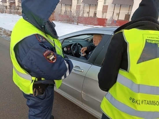 Тамбовские инспекторы ГИБДД выявили более 100 нарушений в ходе рейда по проверке соблюдения правил перевозки детей