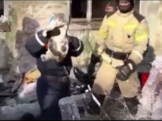 Кота спасли из-под завалов взорвавшегося от газа дома в Новосибирске
