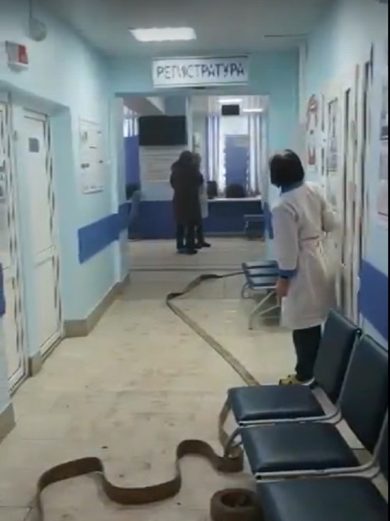 Костромское управление МЧС отчиталось о ситуации с задымлением в поликлинике на улице Профсоюзной