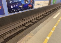 На пути станции метро «Площадь Восстания» упал пассажир. Из-за этого движение поездов на красной ветке изменилось. Об этом сообщили в пресс-службе петербургской подземки.