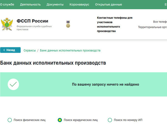 Жителей Кировской области предупредили о мошенничествах от имени судебных приставов