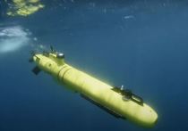 На территории Бельгии будет организовано обучение украинских военнослужащих управлению беспилотными подводными аппаратами