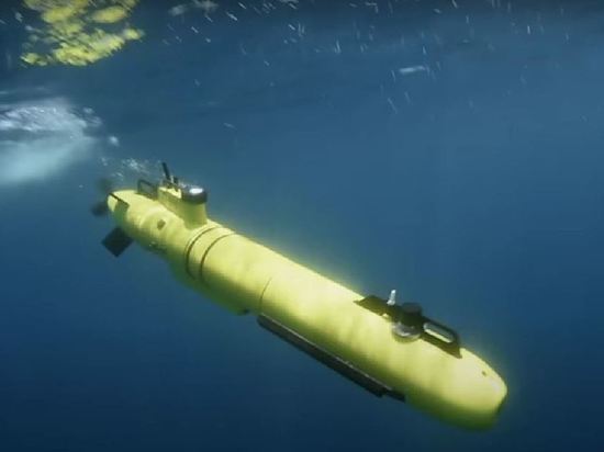 В Бельгию приехали украинские военные учиться управлять подводными дронами