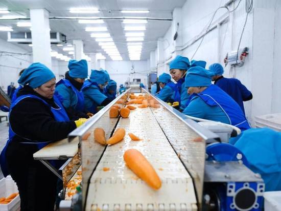 В Астраханской области «Современная быстрая кухня» будет больше производить овощей для россиян