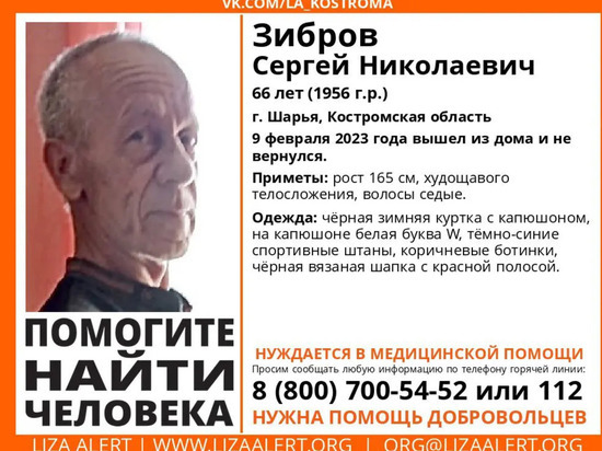 В Костроме «ЛизаАлерт» ищет пропавшего в Шарье пенсионера
