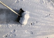Петербуржцы могут использовать специальные сервисы, чтобы отследить, где идет уборка снега в данный момент. Об этом рассказали в пресс-службе Смольного.